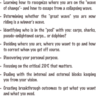Learning how to recognize where you are on the "wave of change"- and how to escape from a collapsing wave.
Determining whether the "great wave" you are now riding is a winner's wave.

Identifying who is in the "pool" with you: carps, sharks, pseudo-enlightened carps... or dolphins?
Deciding where you are, where you want to go and how to correct when you get off course.

Discovering your personal purpose.

Focusing on the critical 20% that matters.

Dealing with the internal and external blocks keeping you from your vision.

Creating breakthrough outcomes to get what you want and what you need.