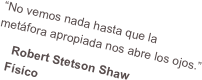 “No vemos nada hasta que la metáfora apropiada nos abre los ojos.”
    Robert Stetson Shaw
    Físíco