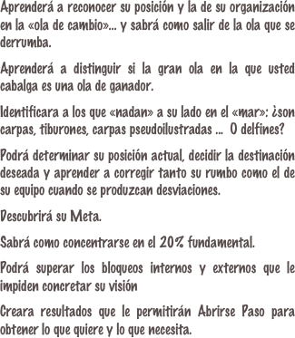 Aprenderá a reconocer su posición y la de su organización en la «ola de cambio»... y sabrá como salir de la ola que se derrumba.

Aprenderá a distinguir si la gran ola en la que usted cabalga es una ola de ganador.

Identificara a los que «nadan» a su lado en el «mar»: ¿son carpas, tiburones, carpas pseudoilustradas ...  O delfines?

Podrá determinar su posición actual, decidir la destinación deseada y aprender a corregir tanto su rumbo como el de su equipo cuando se produzcan desviaciones.

Descubrirá su Meta.

Sabrá como concentrarse en el 20% fundamental.

Podrá superar los bloqueos internos y externos que le impiden concretar su visión

Creara resultados que le permitirán Abrirse Paso para obtener lo que quiere y lo que necesita.