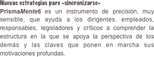 Nuevas estrategias pare «sincronizarse»PrismaMente6 es un instrumento de precisión, muy sensible, que ayuda a los dirigentes, empleados, responsables, legisladores y críticos a comprender la estructura en la que se apoya la perspectiva de los demás y las claves que ponen en marcha sus motivaciones profundas.