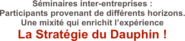 Séminaires inter-entreprises :Participants provenant de différents horizons.  Une mixité qui enrichit l’expérience
La Stratégie du Dauphin !