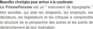 Nouvelles stratégies pour arriver à la synchronie Le PrismePensée6 est un " instrument de topographe " très sensible, qui aide les dirigeants, les employés, les décideurs, les législateurs et les critiques à comprendre la structure de la perspective des autres et les points de déclenchement de leur motivation.